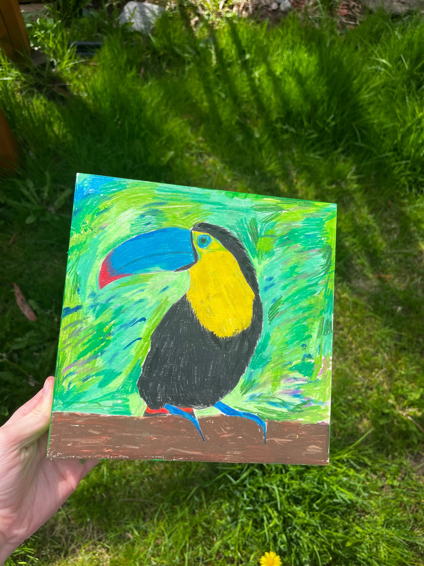 Toucan