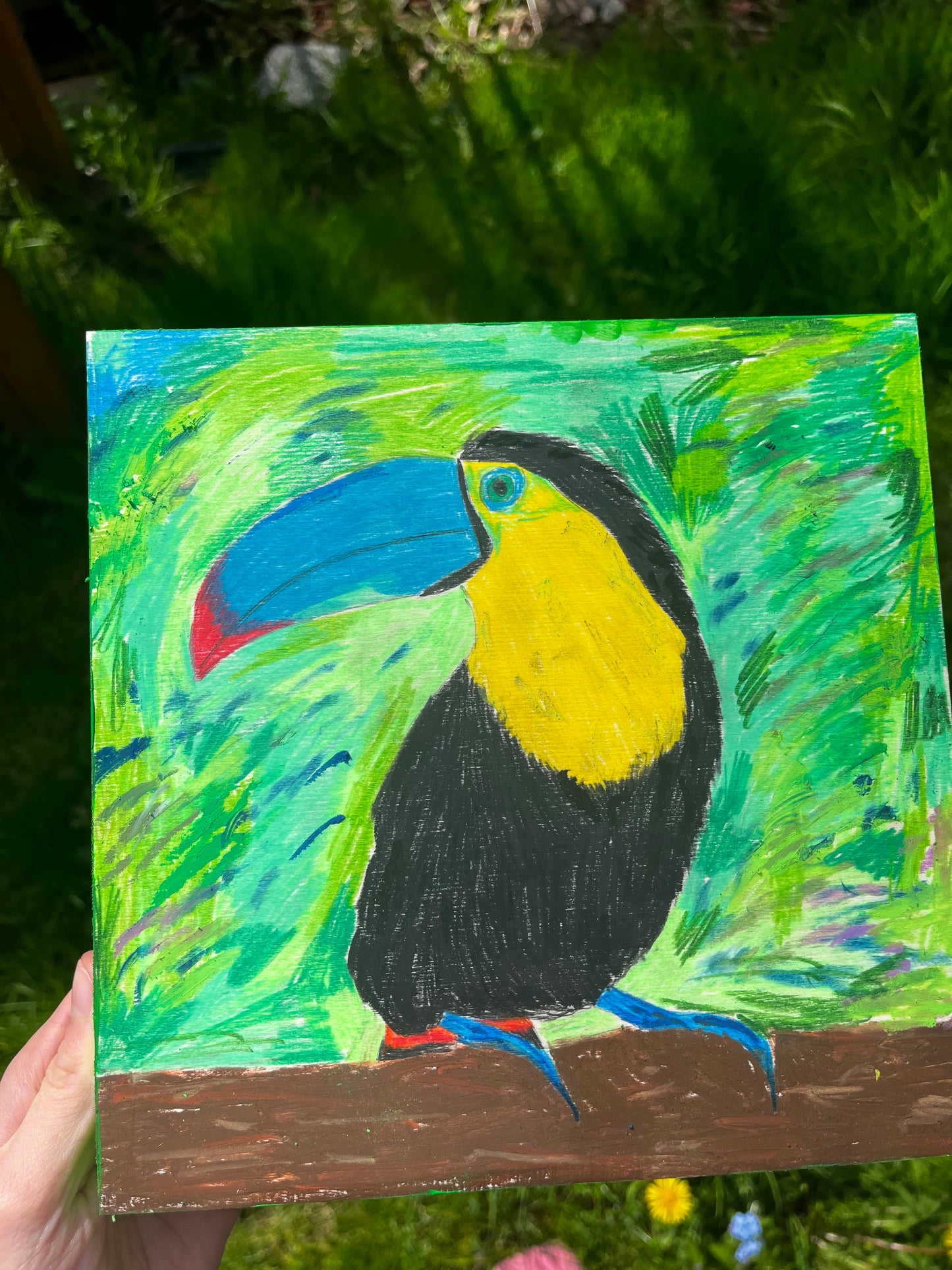 Toucan