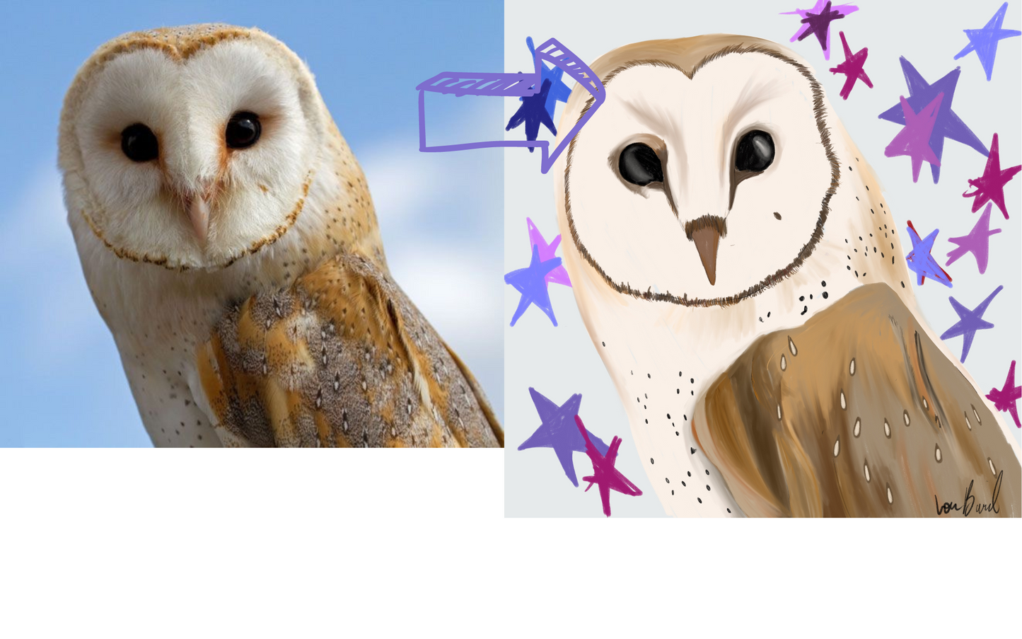 Let me illustrate your feathered and furry companions!